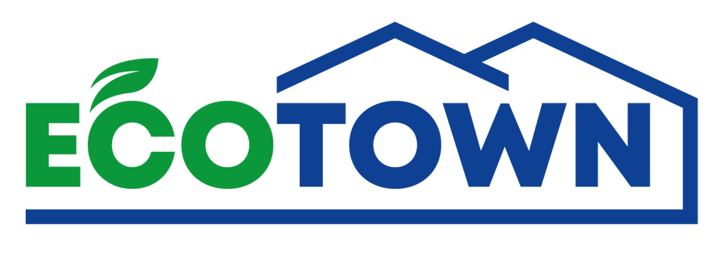 Creación el diseño de la revista Ecotown